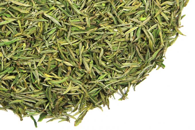 Frische verarbeitende grüne Teeblätter, gelber Gebirgsungeheftet-grüner Tee