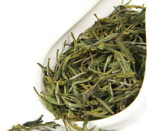 China Gelber Gebirgschinesischer grüner Tee anti- alterndes 160° - 170° F Brauen fournisseur
