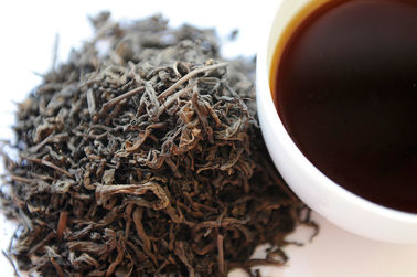 China Chinesischer dunkler Tee 100% Natur-Hunans für die Ergänzung der diätetischen Nahrung fournisseur